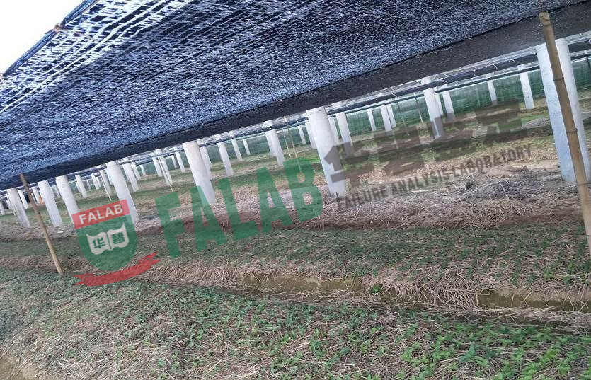 对涉案光伏组件进行质量鉴定
