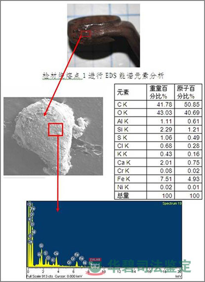 位置1EDS图