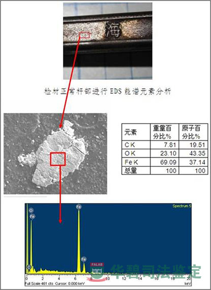 正常点EDS图