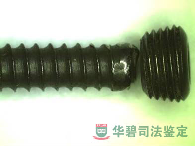 体式显微镜观察图片