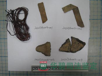 残留纸屑样品