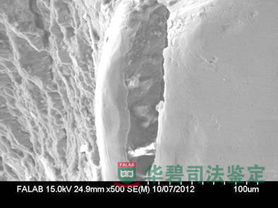 断口扫描电子显微镜（SEM）观察