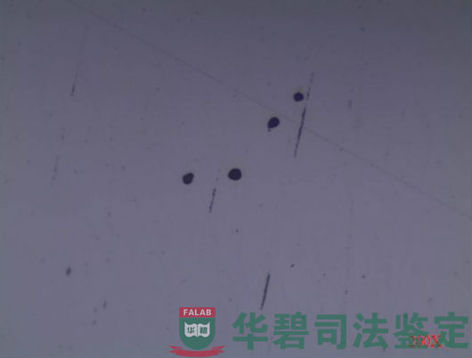 底圈壁板断裂处断口金相组织