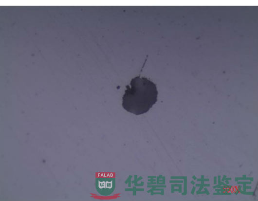 底圈壁板断裂处断口金相组织1