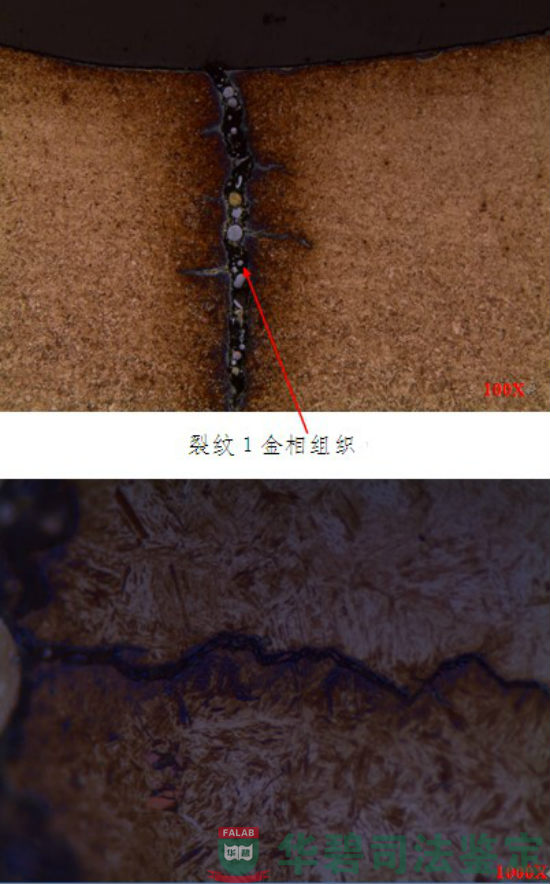 裂纹1金相显微镜观察