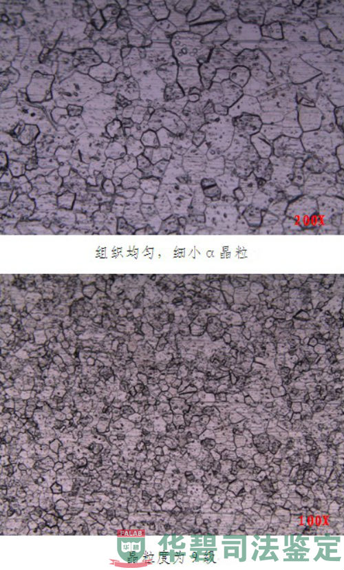检材的显微组织