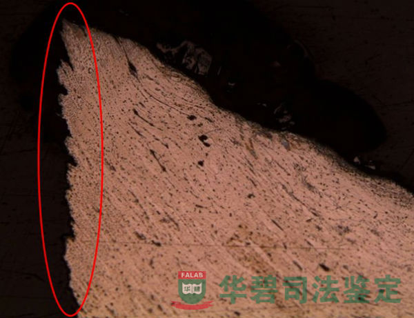 金相切片图片
