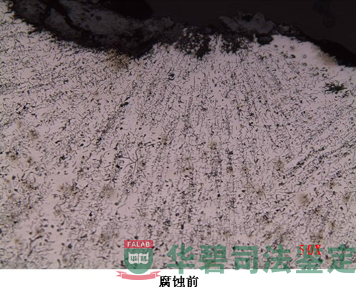 金相组织-11