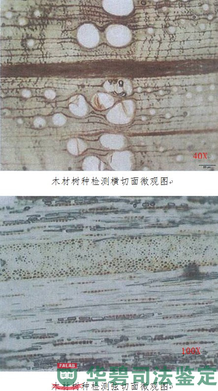 实验室检测结果图片（续）