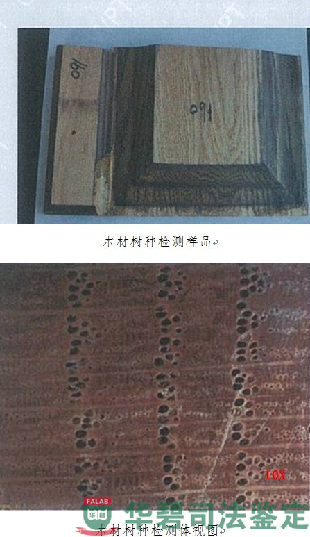 实验室检测结果图片